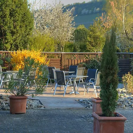 Guest house Hotel-garni 'zum Weinkrug'